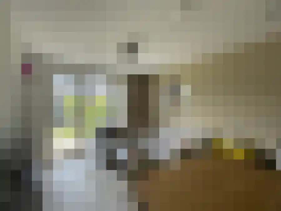 Artemisstraat Leiden thumbnail 5