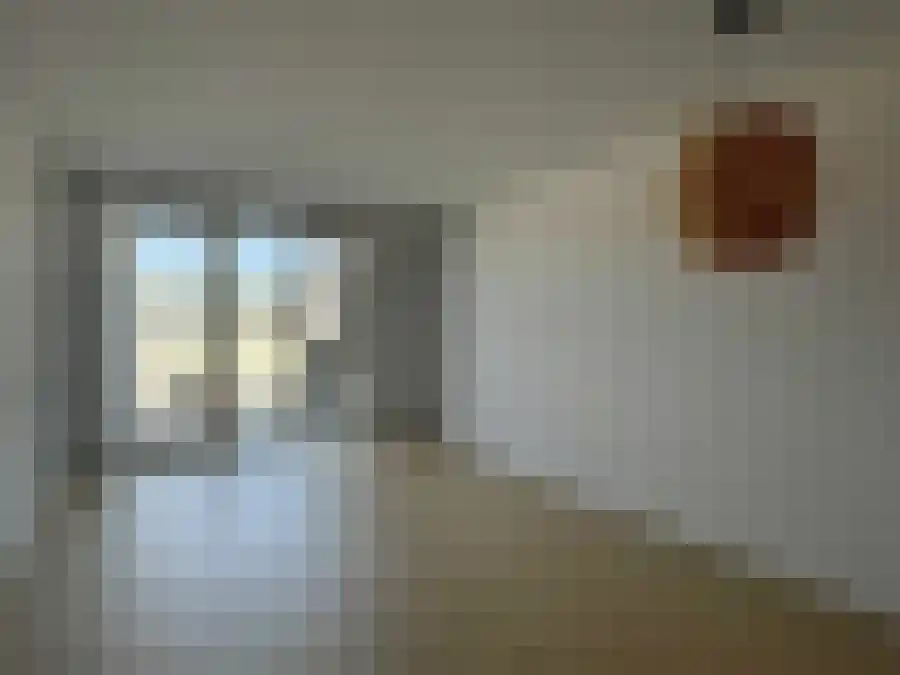 Artemisstraat Leiden thumbnail 6