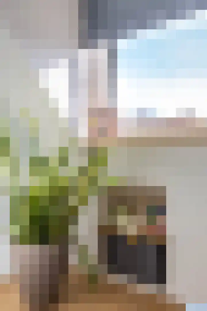 Arteveldestraat 32 Groningen thumbnail 28