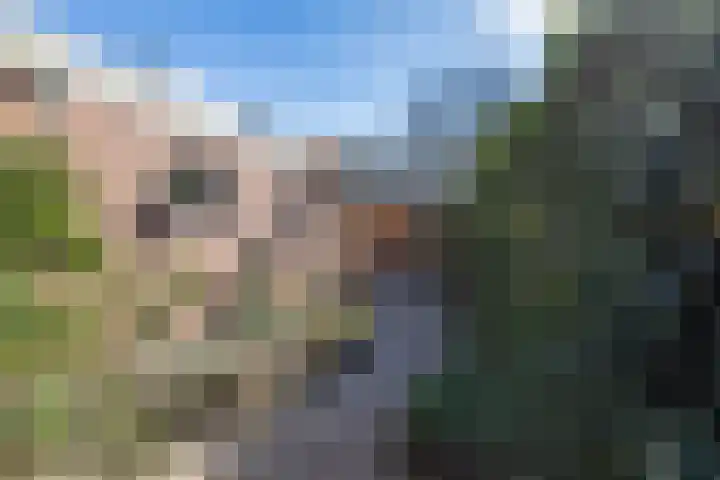 Arteveldestraat 32 Groningen thumbnail 32