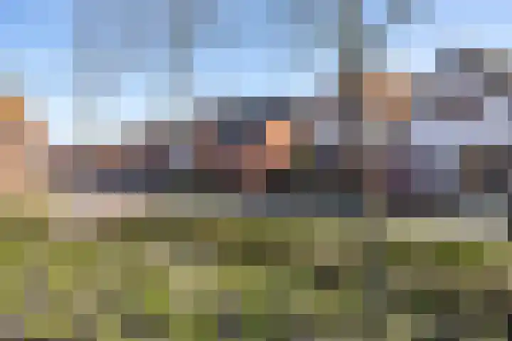 Arteveldestraat 32 Groningen thumbnail 40