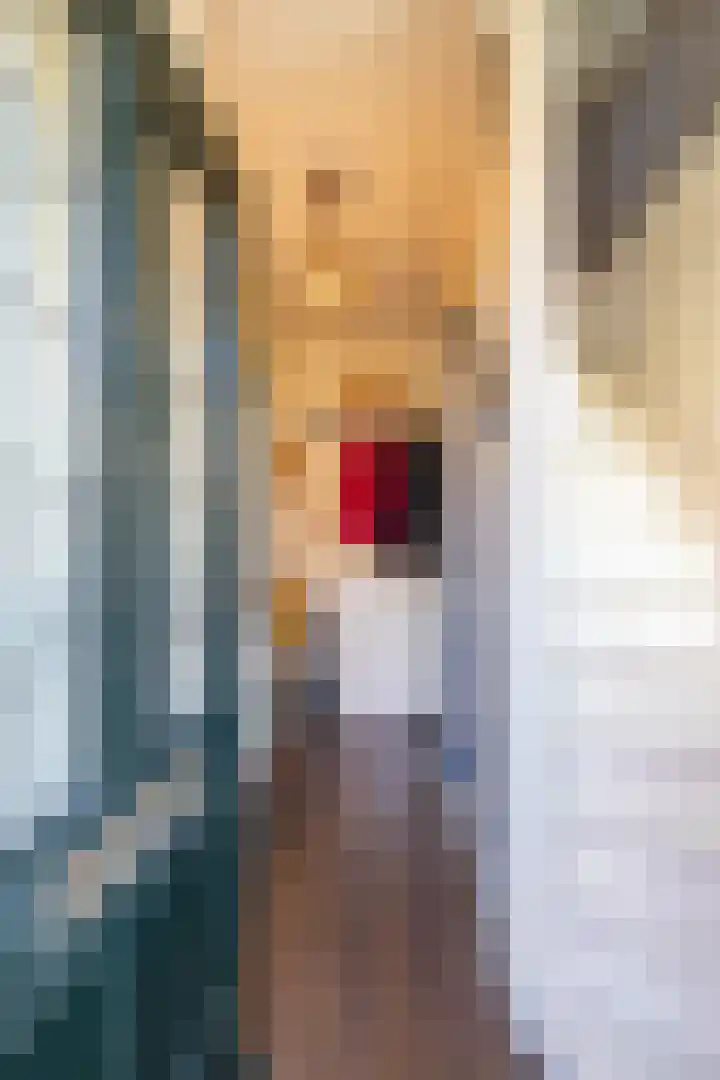 Arteveldestraat 32 Groningen thumbnail 5