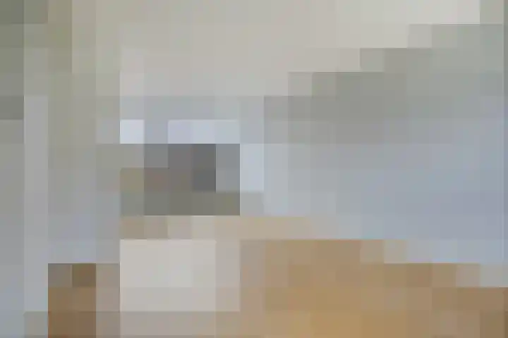 Arteziëlaan 19 Etten-Leur thumbnail 11