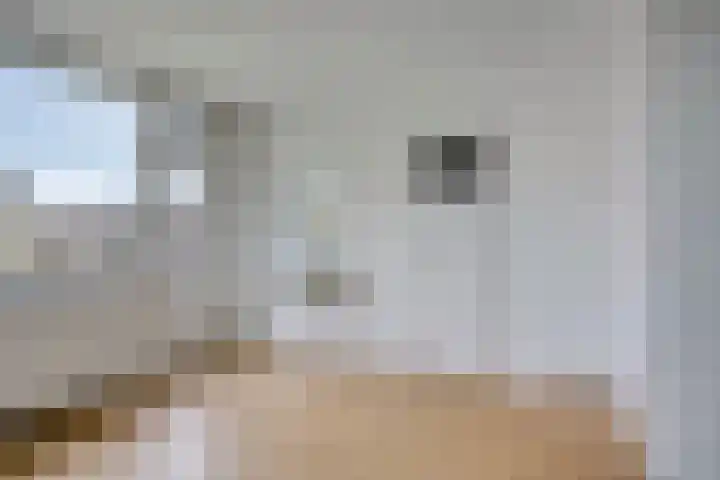 Arteziëlaan 19 Etten-Leur thumbnail 30
