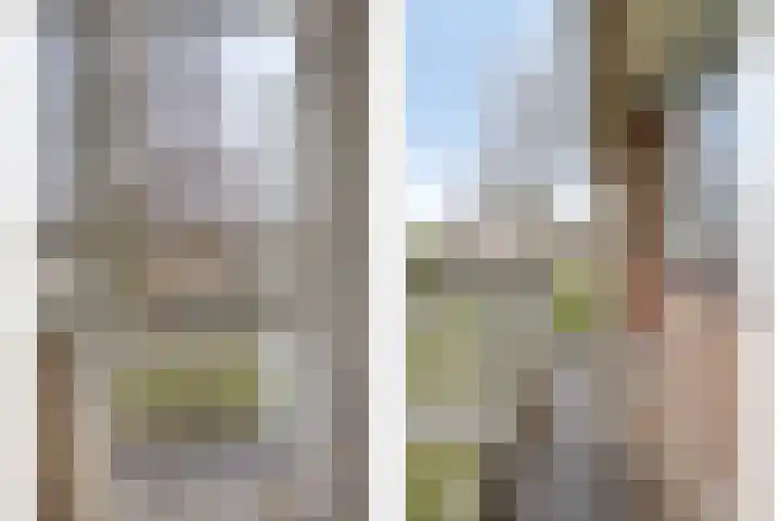 Arteziëlaan 19 Etten-Leur thumbnail 31