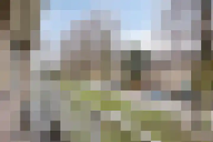 Arteziëlaan 19 Etten-Leur thumbnail 33