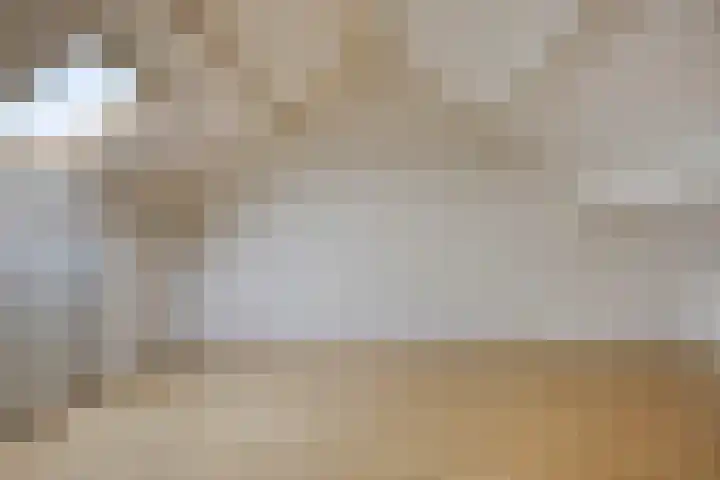 Arteziëlaan 19 Etten-Leur thumbnail 39