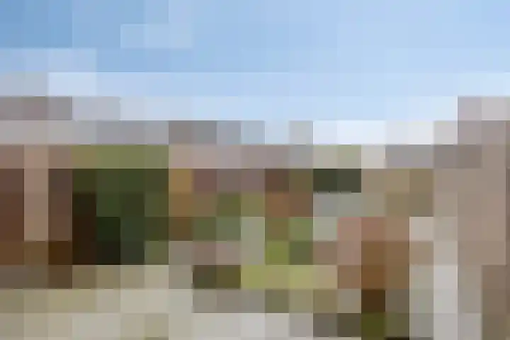 Arteziëlaan 19 Etten-Leur thumbnail 42