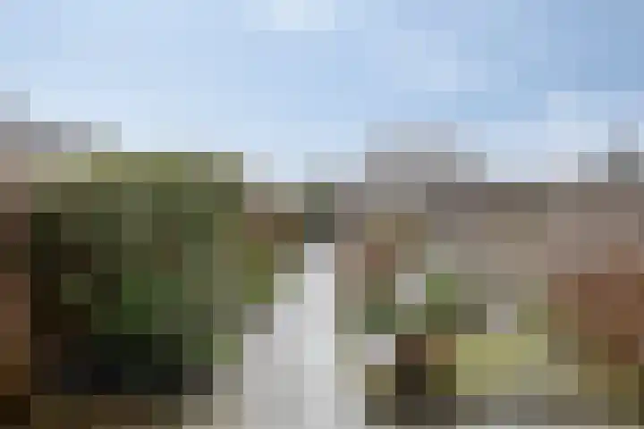 Arteziëlaan 19 Etten-Leur thumbnail 43