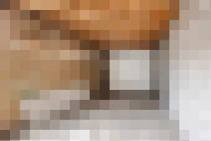 Arteziëlaan 19 Etten-Leur thumbnail 50