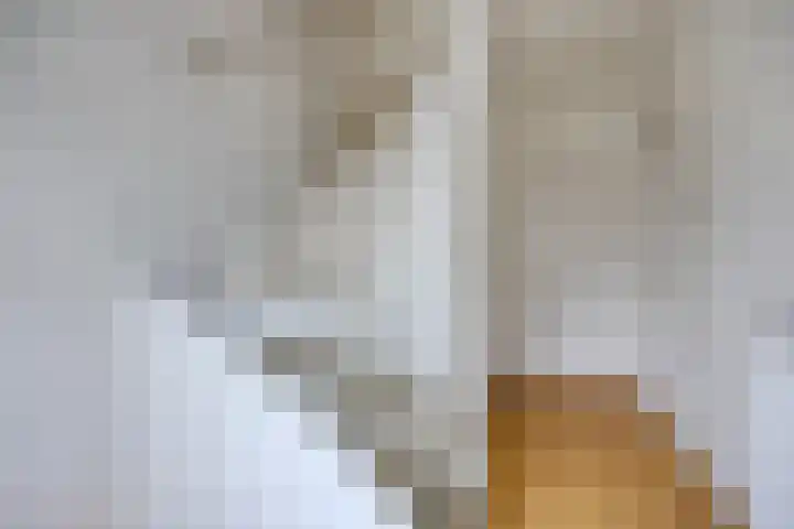 Arteziëlaan 19 Etten-Leur thumbnail 8