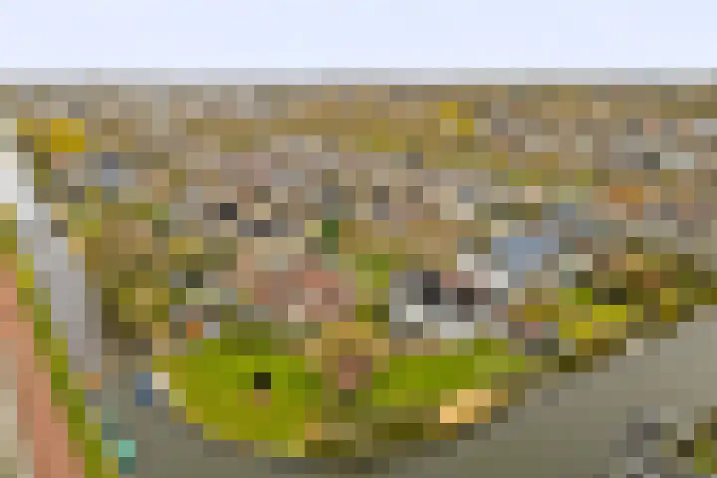 Foto van Arthur Hekman