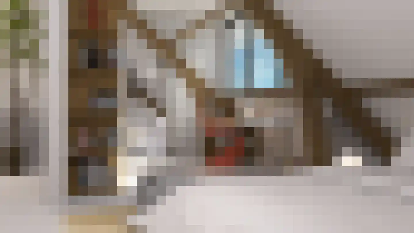 Arthur Koolkwartier 37 Ede thumbnail 15