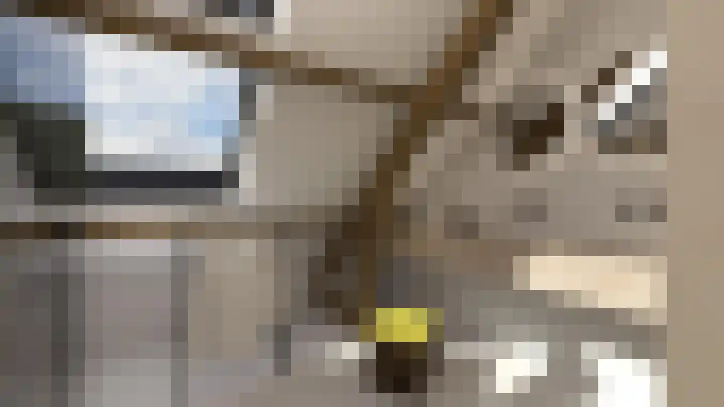 Arthur Koolkwartier 49 Ede thumbnail 13