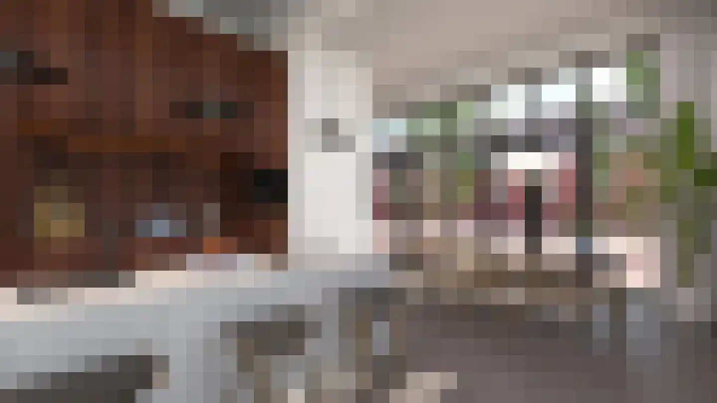 Arthur Koolkwartier 5 Ede thumbnail 15