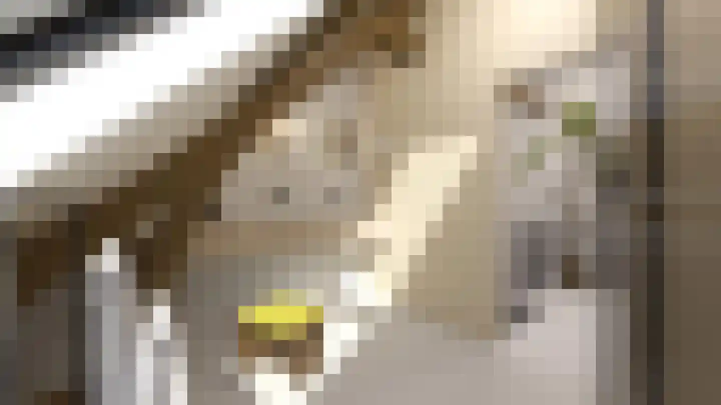 Arthur Koolkwartier 5 Ede thumbnail 21