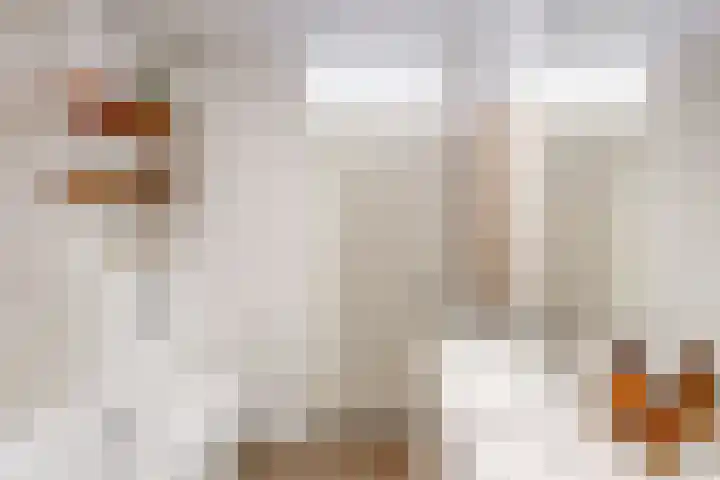 Arthur Sullivanhof 20 Utrecht thumbnail 19