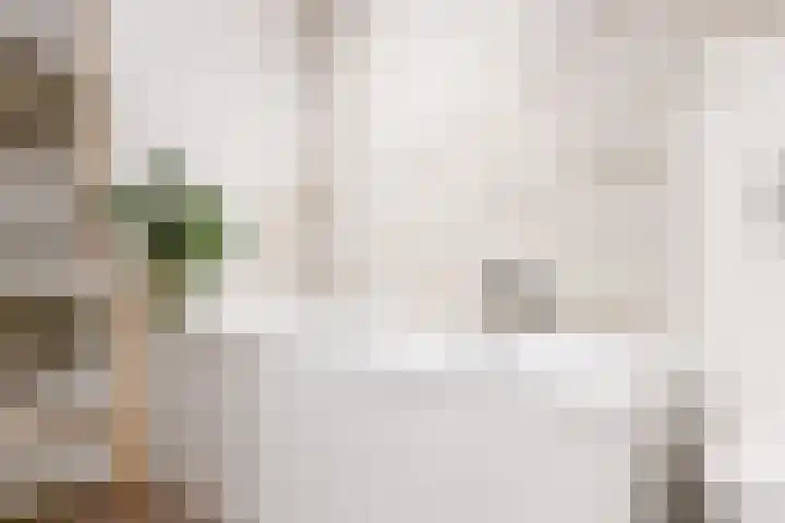 Arthur Sullivanhof 20 Utrecht thumbnail 22