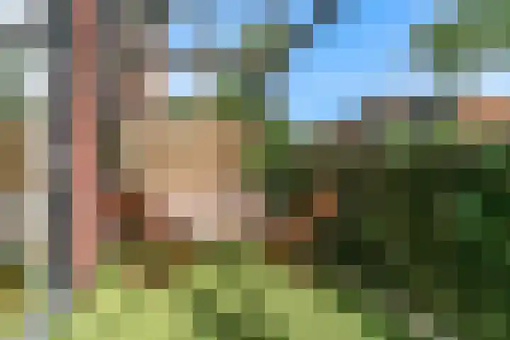Arthur Sullivanhof 20 Utrecht thumbnail 30