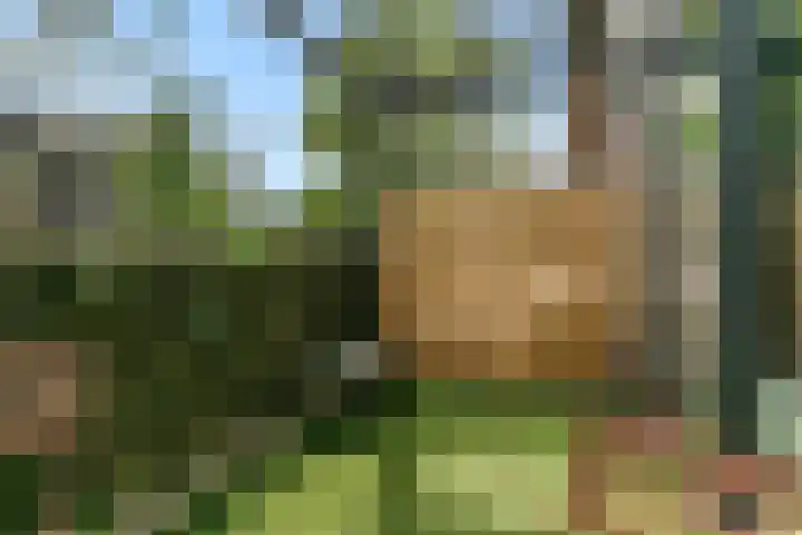 Arthur Sullivanhof 20 Utrecht thumbnail 31