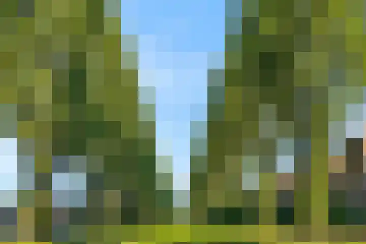 Arthur Sullivanhof 20 Utrecht thumbnail 35