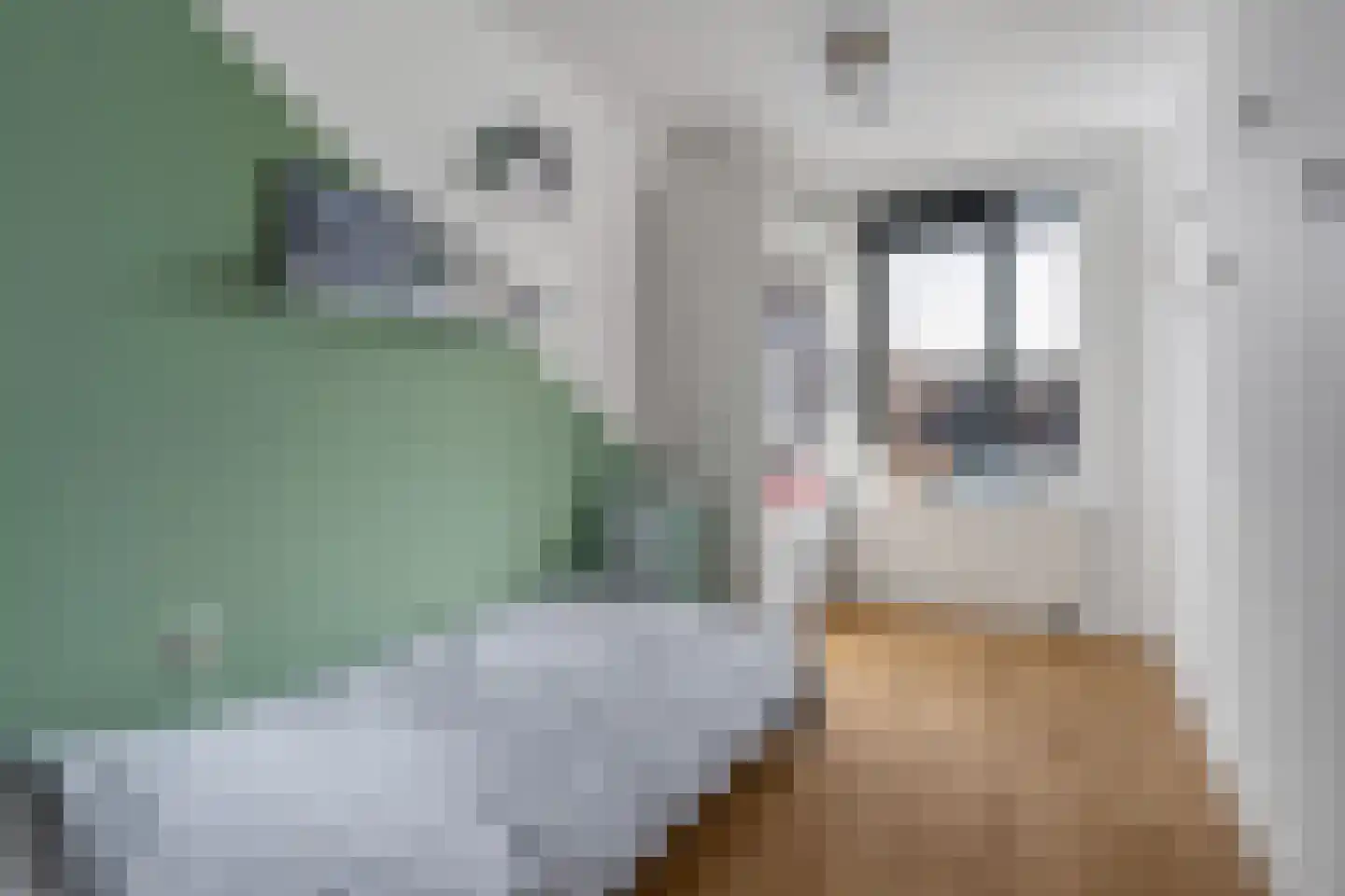 Arthur Sullivanhof 22 Utrecht thumbnail 23