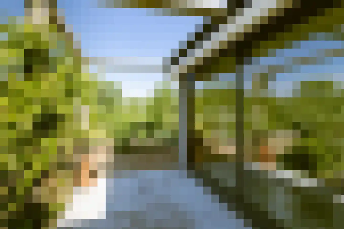 Arthur Tansleyweg 13 Almere thumbnail 36