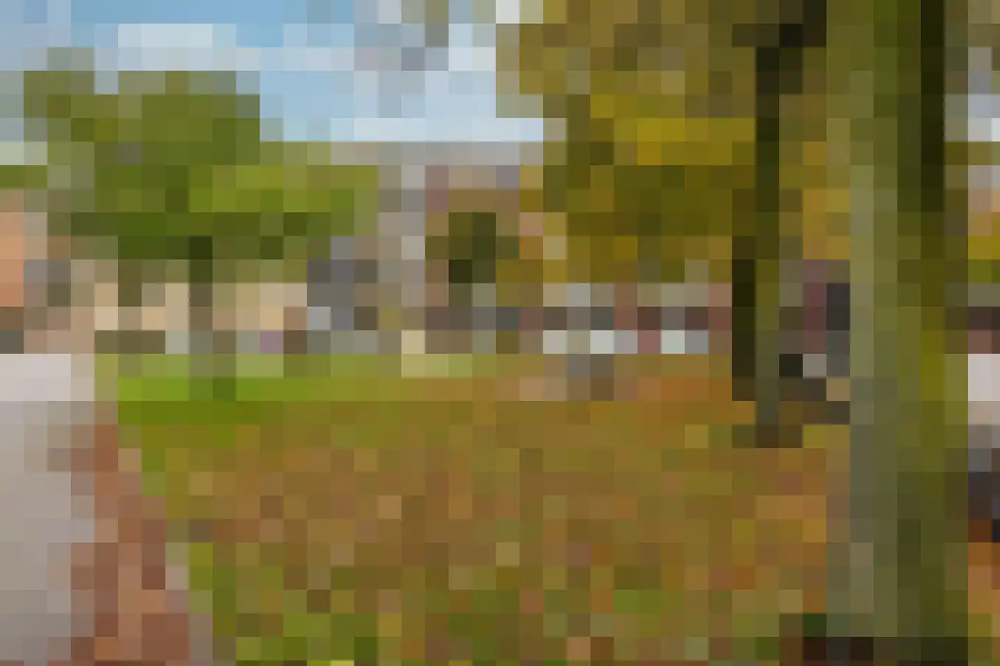 Arthur van Schendelhove 10 Nieuwegein thumbnail 31