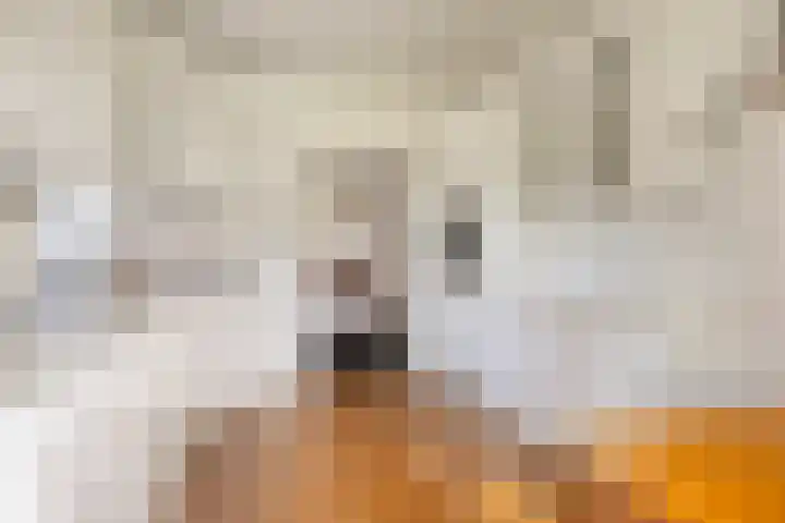 Arthur van Schendellaan 10 Assen thumbnail 10