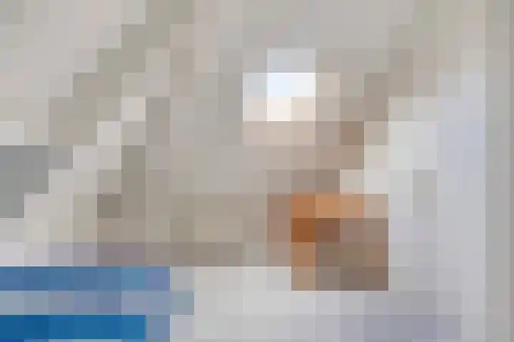 Arthur van Schendellaan 10 Assen thumbnail 29