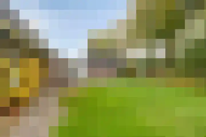 Arthur van Schendellaan 10 Assen thumbnail 31