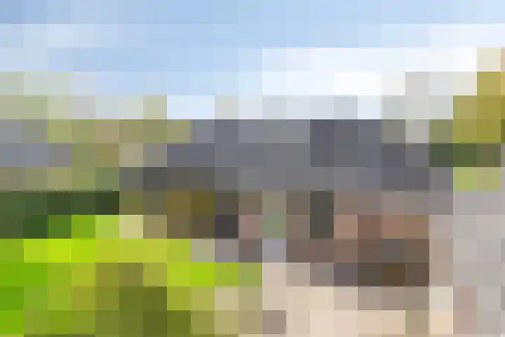 Arthur van Schendellaan 10 Assen thumbnail 34