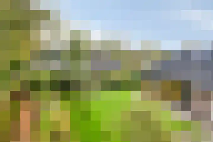 Arthur van Schendellaan 10 Assen thumbnail 35