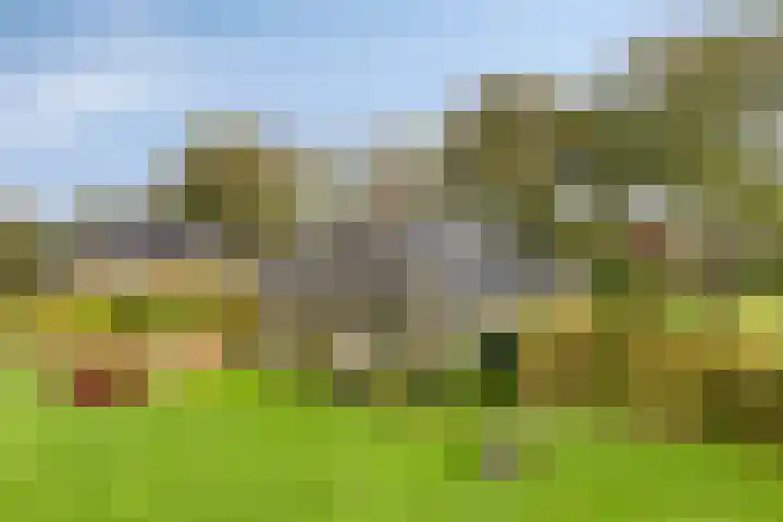 Arthur van Schendellaan 10 Assen thumbnail 36