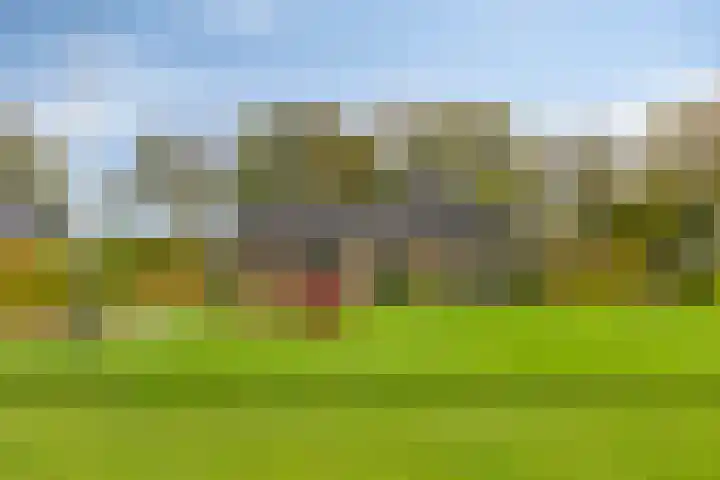 Arthur van Schendellaan 10 Assen thumbnail 37