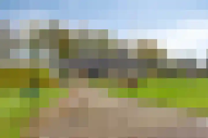 Arthur van Schendellaan 10 Assen thumbnail 38