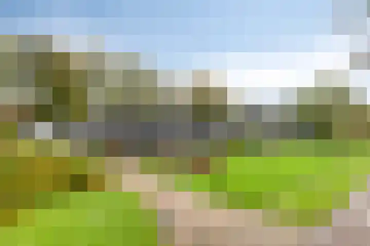 Arthur van Schendellaan 10 Assen thumbnail 39