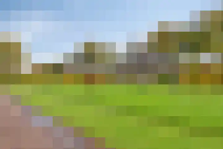Arthur van Schendellaan 10 Assen thumbnail 41