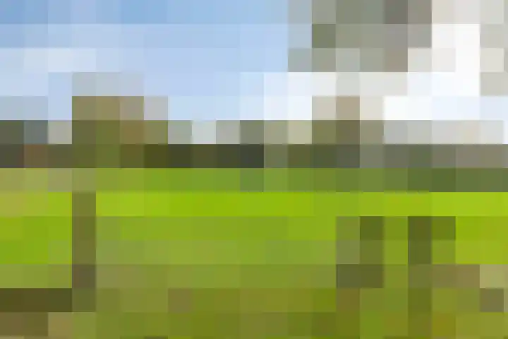 Arthur van Schendellaan 10 Assen thumbnail 42