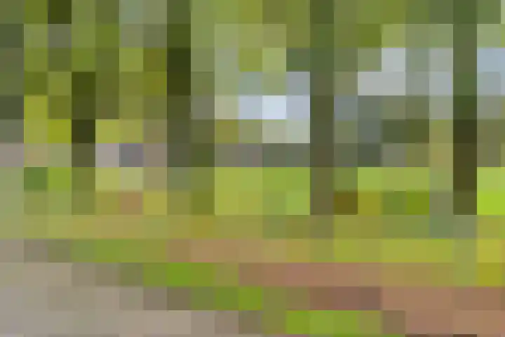 Arthur van Schendellaan 10 Assen thumbnail 43