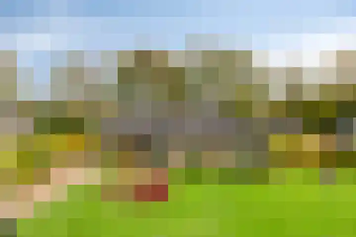 Arthur van Schendellaan 10 Assen thumbnail 5