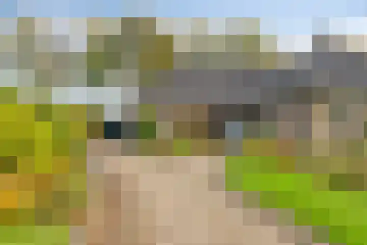 Arthur van Schendellaan 10 Assen thumbnail 6