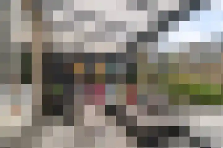 Arthur van Schendellaan 114 Uithoorn thumbnail 13