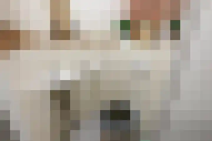 Arthur van Schendellaan 114 Uithoorn thumbnail 15