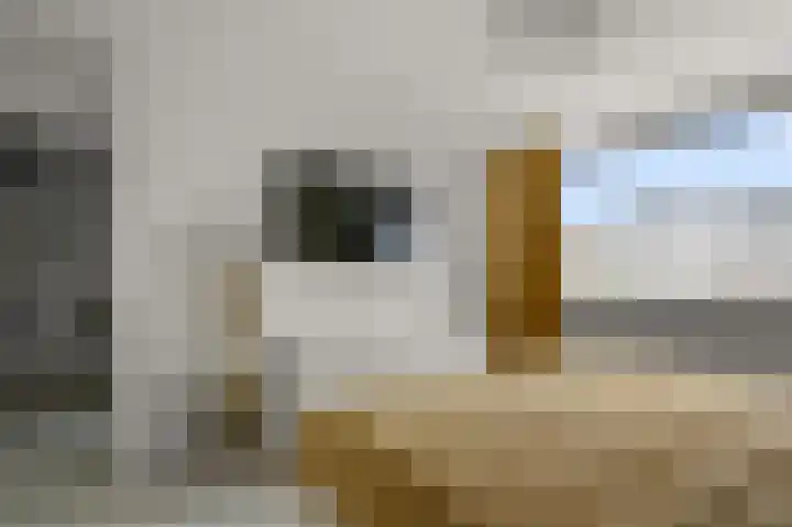 Arthur van Schendellaan 114 Uithoorn thumbnail 20