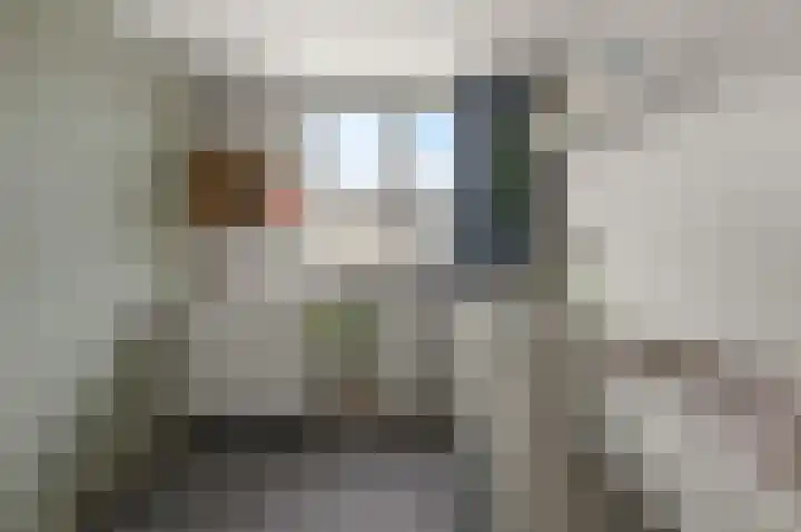 Arthur van Schendellaan 114 Uithoorn thumbnail 23
