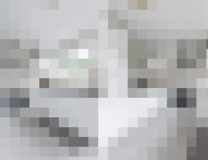 Arthur van Schendellaan 32 Uithoorn thumbnail 15