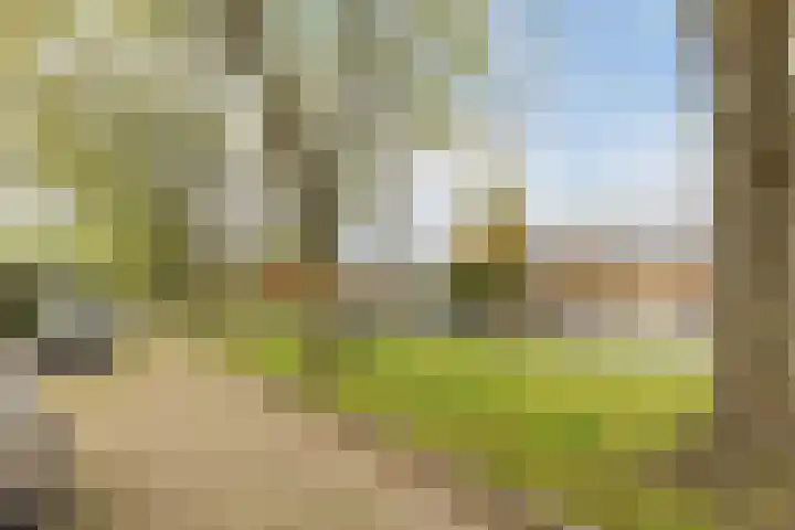 Arthur van Schendellaan 32 Uithoorn thumbnail 34
