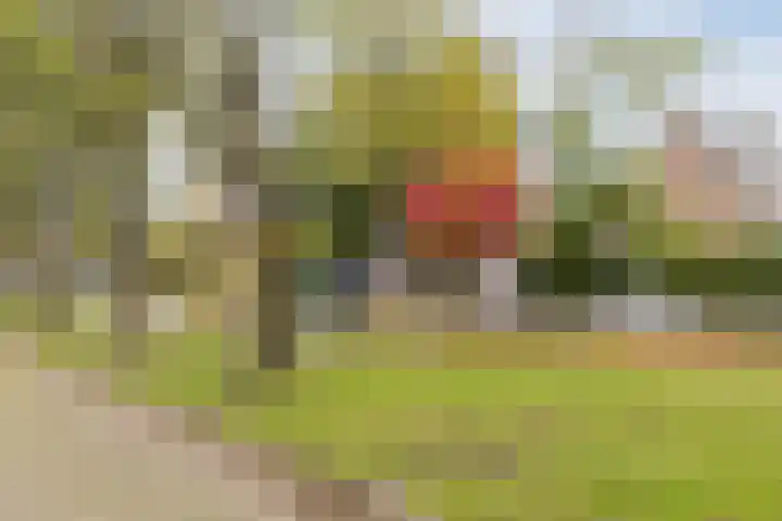Arthur van Schendellaan 32 Uithoorn thumbnail 35