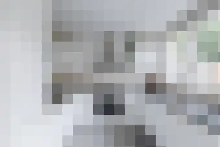 Arthur van Schendellaan 32 Uithoorn thumbnail 5